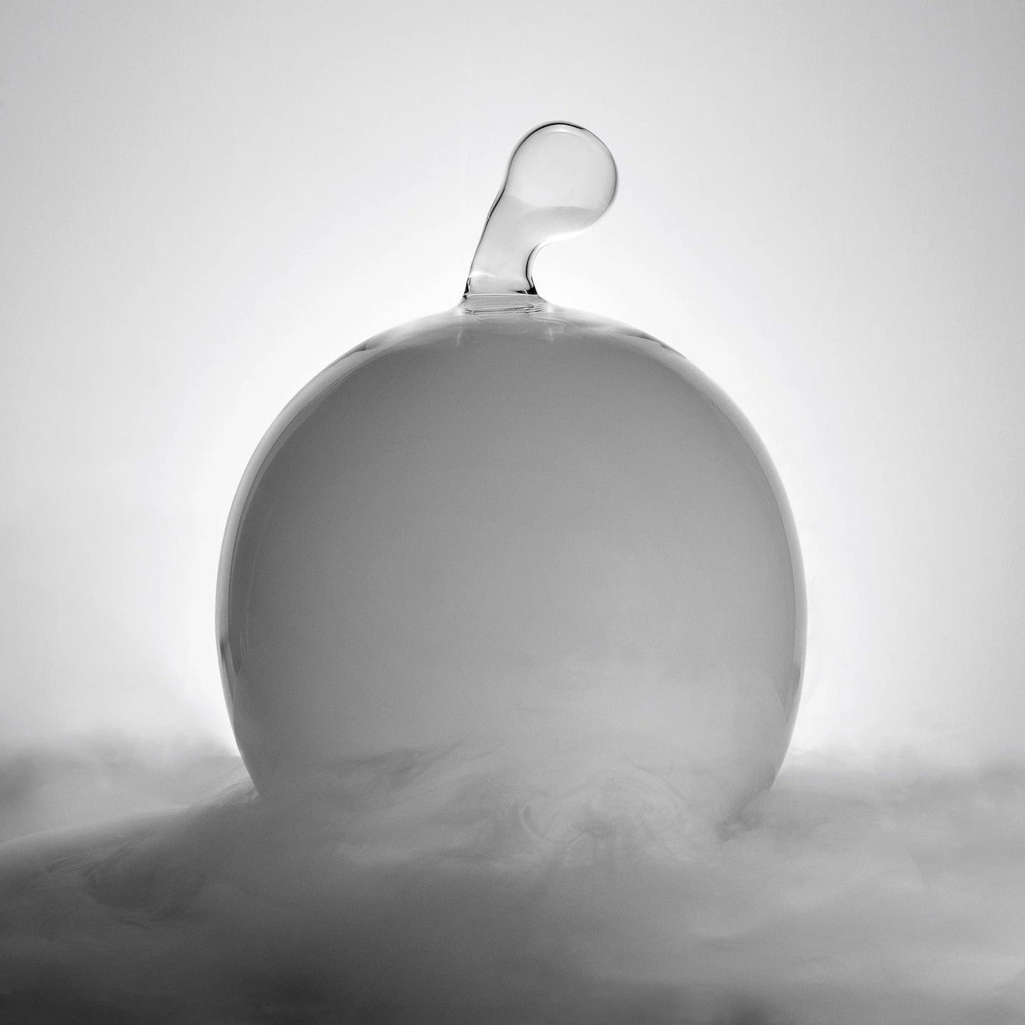 Cloche da portata in vetro ECHOES