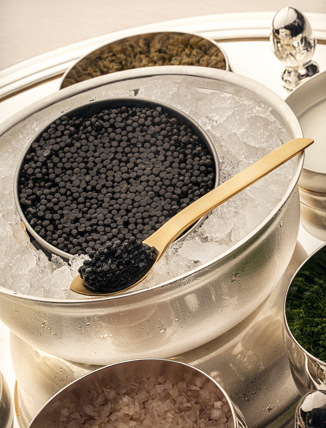 Estojo para Caviar