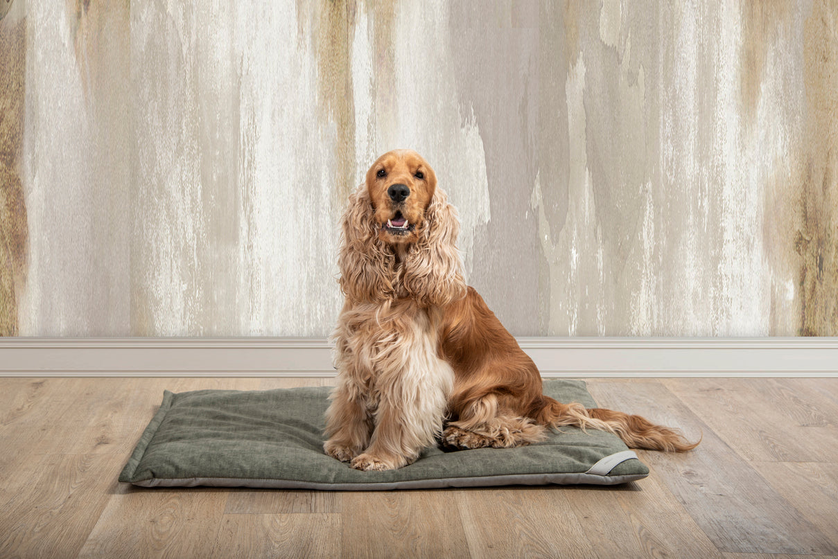 Almofada FILIFORM BED