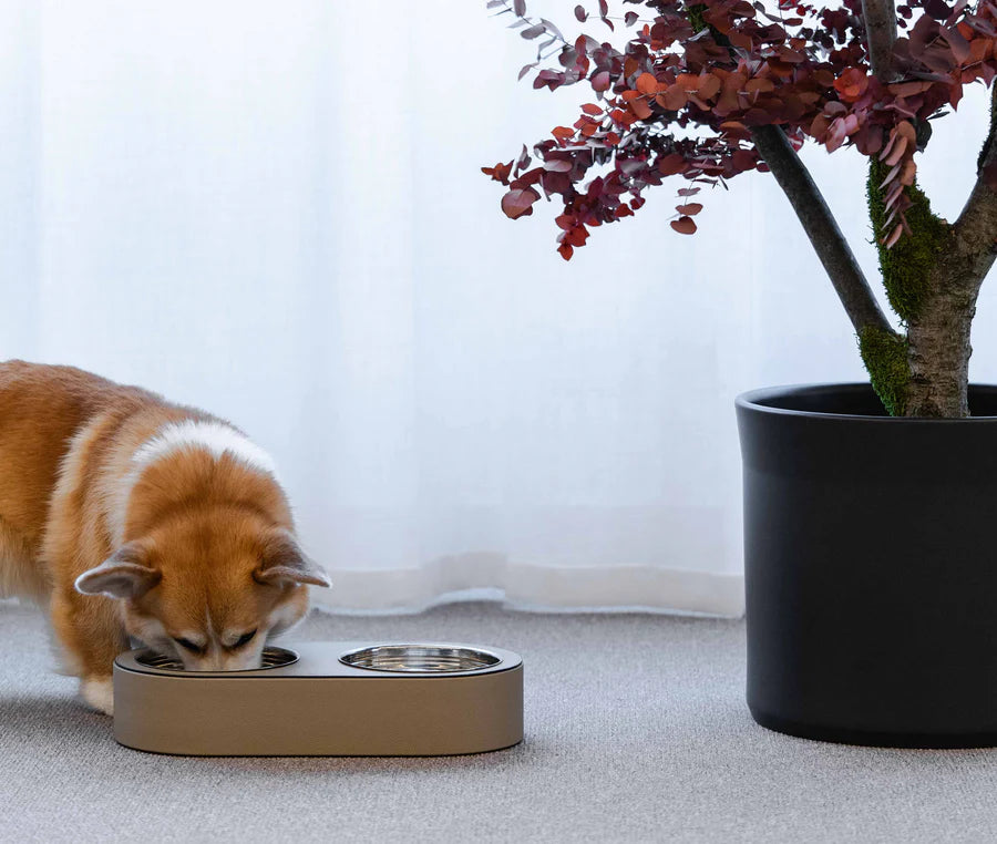 Tigela PET BOWL