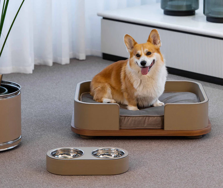 Cama para pet