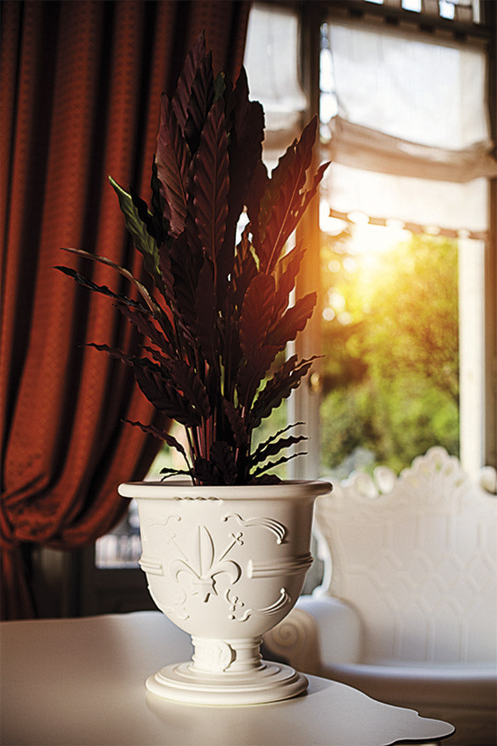 Vaso POT OF LOVE