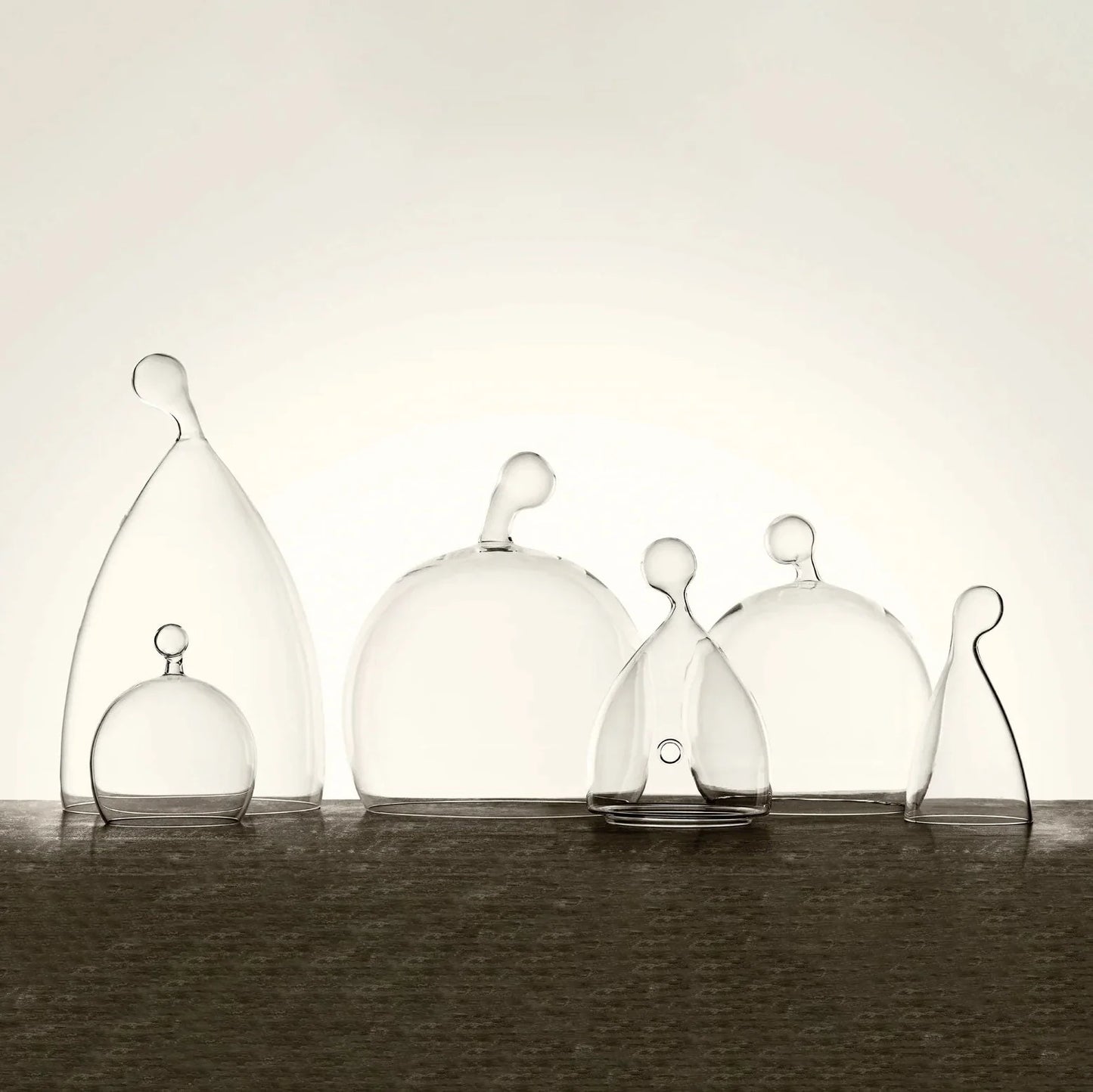 Cloche da portata in vetro ECHOES