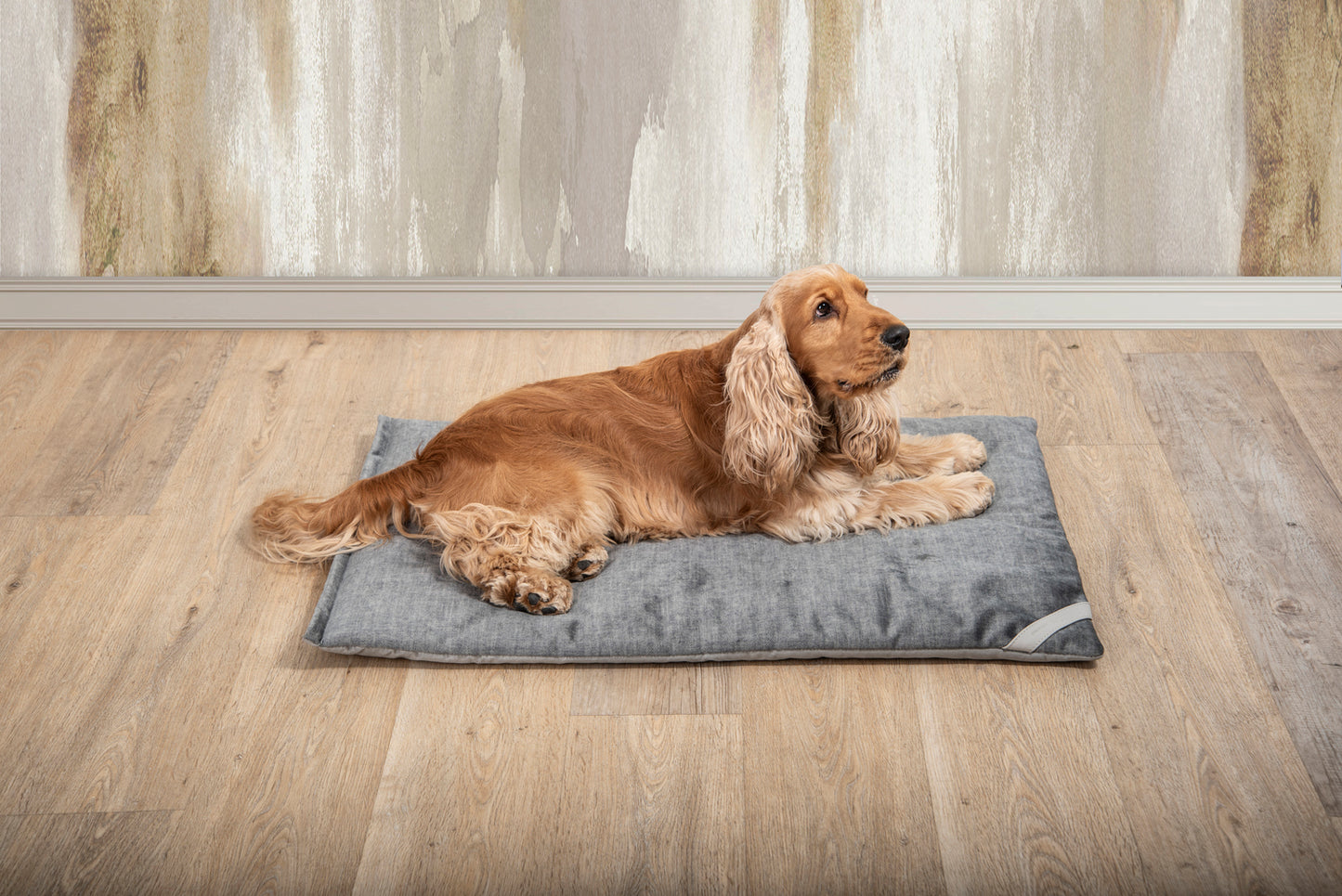 Cuscino FILIFORM BED
